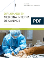 Medicina Interna en Caninos