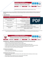 Ev-Sst-Pg-04 Programa de Prevencion y Proteccion Contra Caidas