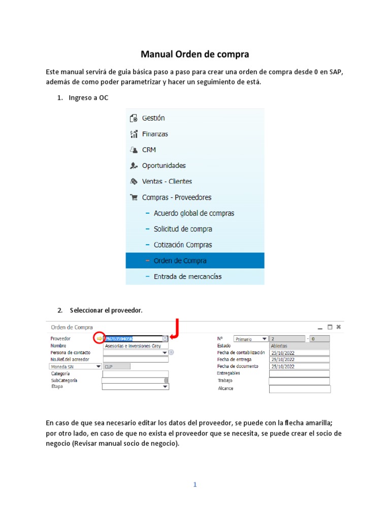 Guía para Crear Orden de Compra en SAP | PDF | Informática