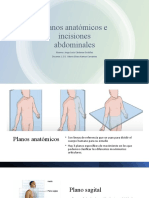 03 Planos Anatómicos e Incisiones Abdominales (Jorge)