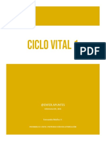 Ciclo Vital 1