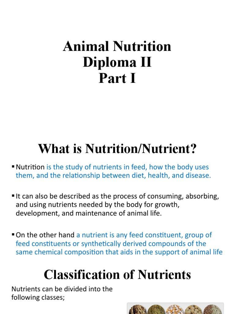Animal visual data 4