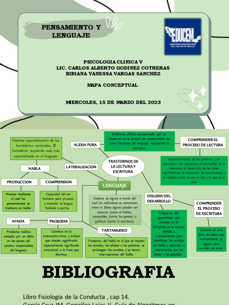 Pensamiento y Lenguaje - Mapa Conceptual | PDF | Hemisferio cerebral ...