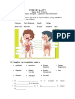 Repaso Final Naturales 4to