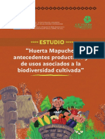 Revista Final Estudio Huerta Mapuche