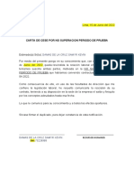 Carta de No Superación Periodo de Prueba