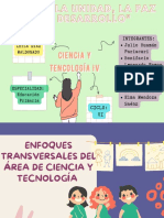 Enfoques Transversales Del Área de Ciencia y Tecnología