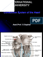 04 Conduction System of The Heart