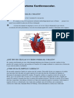 El Sistema Cardiovascular Cesar Atarama