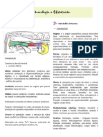 Ginecologia e Obstetrícia