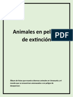 Animales en Peligro de Extinción