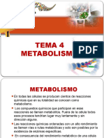 Tema 4. Metabolismo ACTUALIZADO