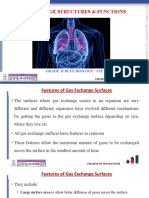 Gaseous Exchange - Lesson Notes