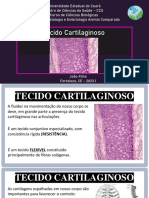Aula - Tecido Cartilaginoso