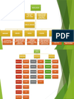 Mapa Conceptual de Ramas de La Biologia Falcon Jimenez Joaquin 4c