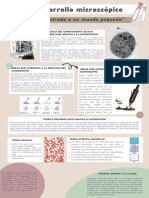 "Una Mirada A Un Mundo Pequeño": El Desarrollo Microscópico