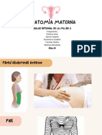 Anatomía Materna