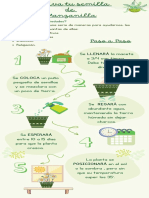 Infografía Cuidados Plantas Interiores Ilustrado Natural Verde