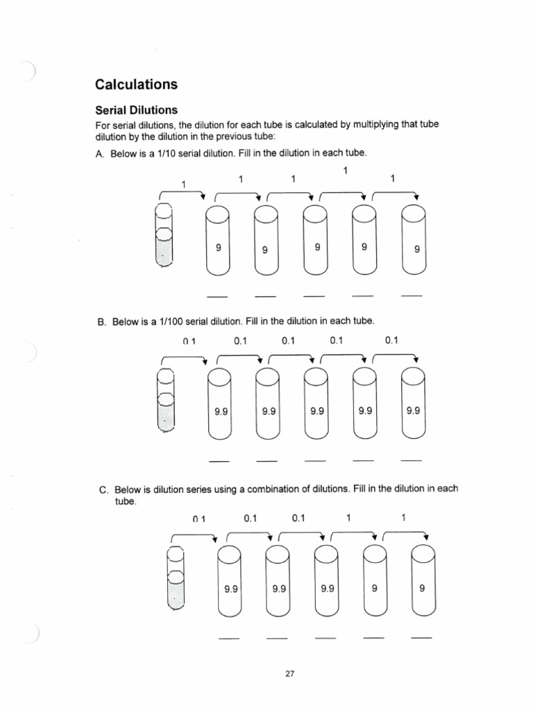 Calculationpracticedilutionratio PDF