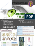 Seminario 1 - Anatomia Del Ojo y de La Orbita - Grupo-A1