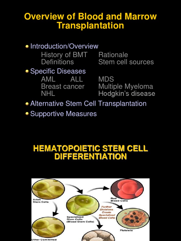 Overview of Blood and Marrow Transplantation | PDF | Hematopoietic Stem ...