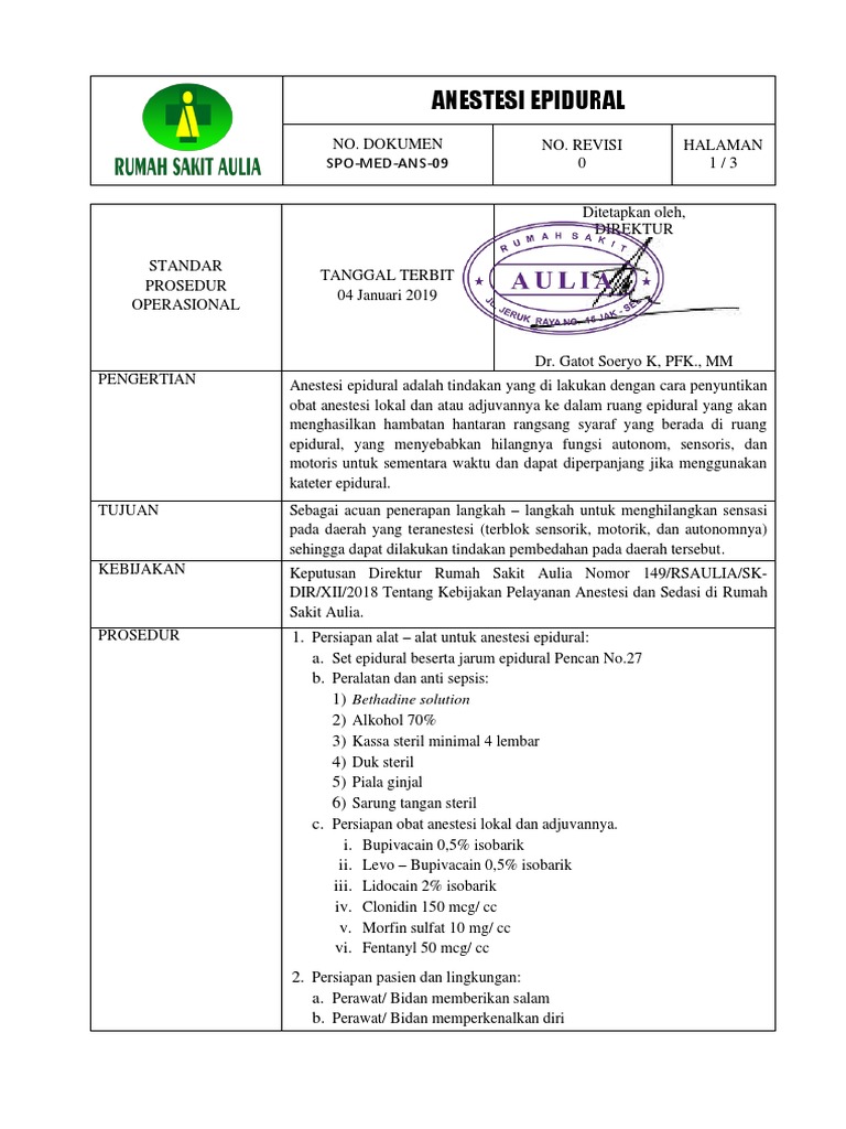Spo Anestesi Epidural Pdf
