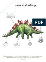 Dino Anatomy