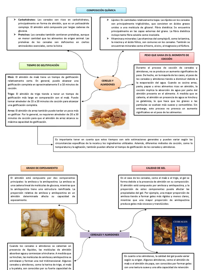 Composición y Gelificación del Almidón | PDF | Almidón | Cereales