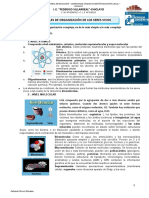 Anexo 1 Niveles de Organización de Los Seres Vivos