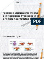Feedback Mechanisms Involved in Regulating Processes in The Female Reproductive System