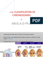 Classification of Chromosomes