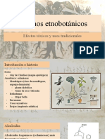 Venenos Etnobotánicos. Usos Tradicionales y Efectos Tóxicos