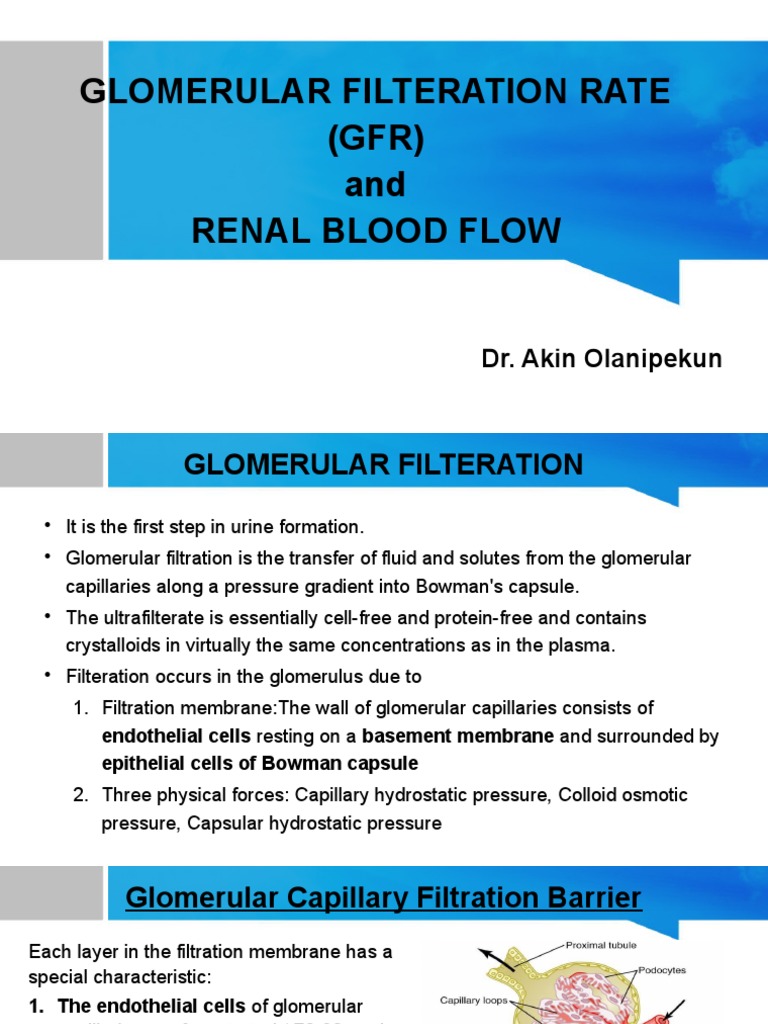 GFR and RENAL BLOOD FLOW PDF Kidney Creatinine