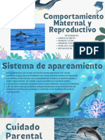 Comportamiento Maternal y Reproductivo