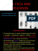 Cell Cycle and Replication