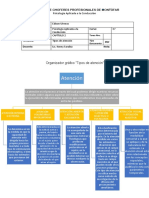 TAREA 1 CAPÍTULO 2 Organizador Gráfico Tipos de Atención