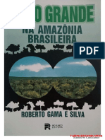 Olho Grande Na Amazonia Brasileira - Roberto Gama e Silva