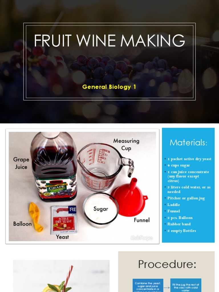 Fruit Wine Making Project PDF