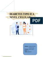 Informe Diabetes Tipo 2 FINAL