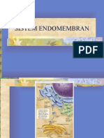 Sistem Endomembran