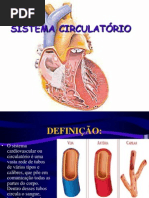 SISTEMA CIRCULATÓRIO