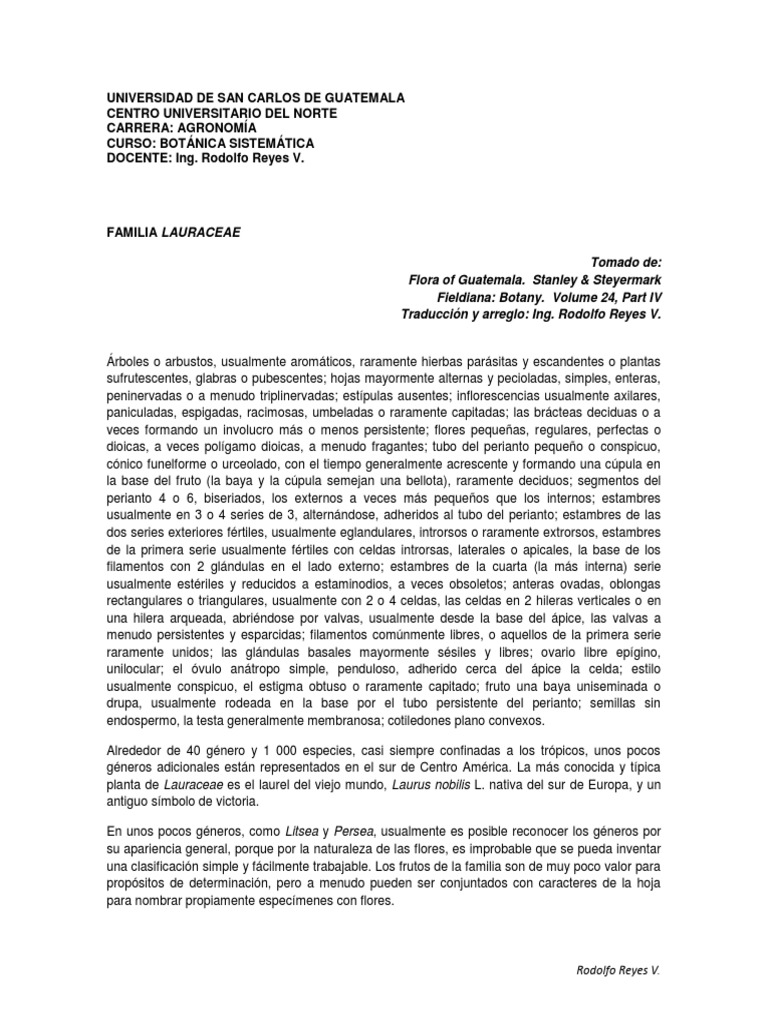 familia-lauraceae-pdf