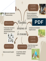 Principales Divisiones de La Economía