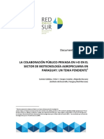 DT Red Mercosur - Paraguay Vfinal