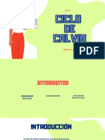 Ciclo de Calvin - PRESENTACIÓN