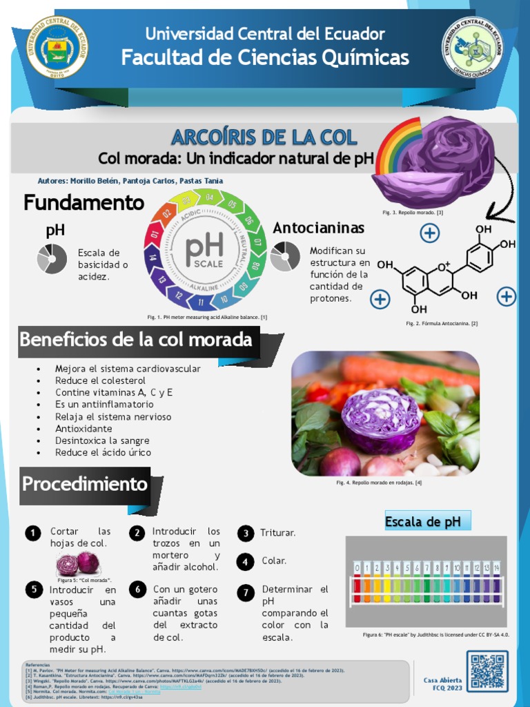 Col Morada como Indicador de pH | PDF | Redox | Ph