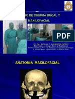 Anatomia Maxilofacial
