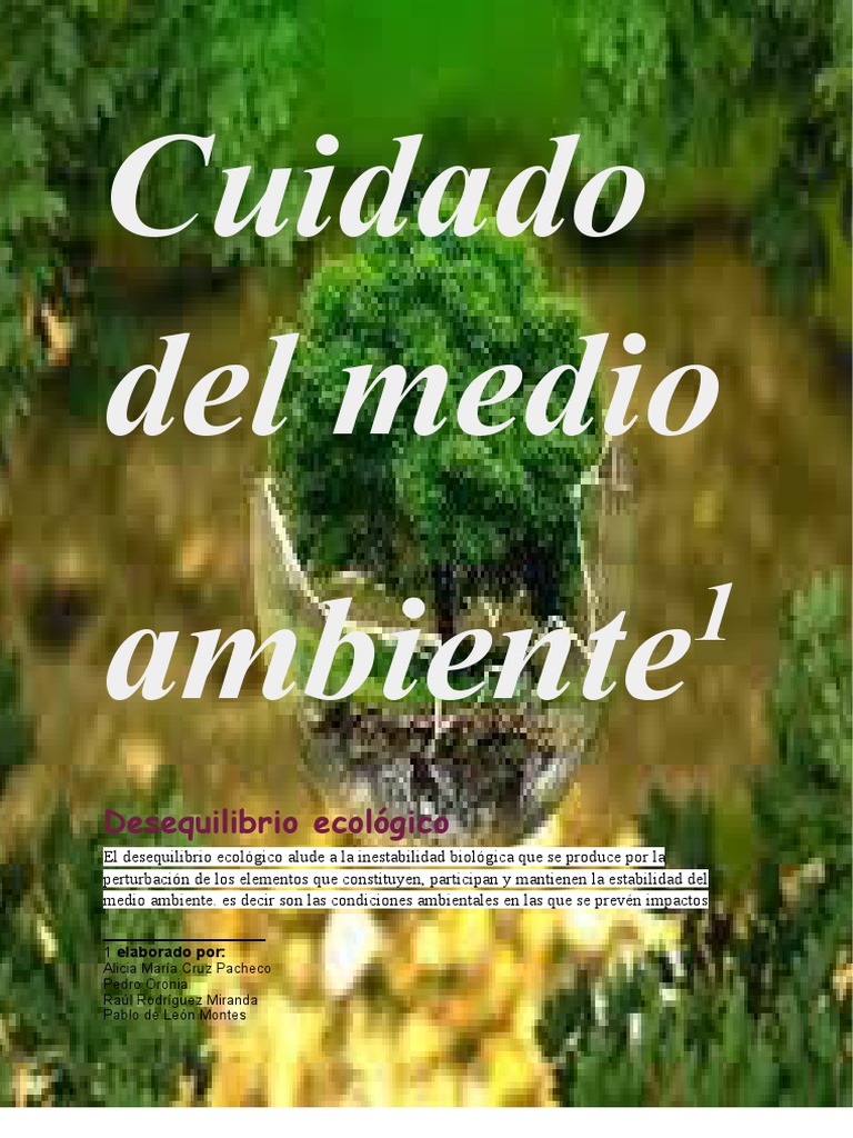 Cuidado Del Medio Ambiente | PDF | Entorno natural | Deforestación