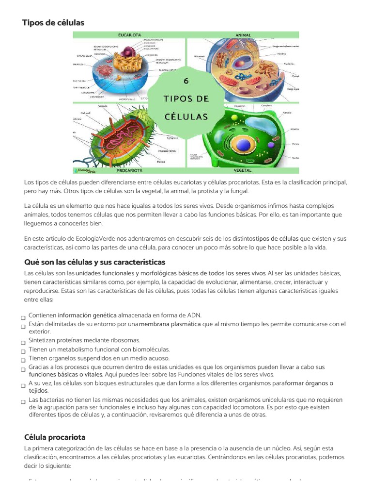 Tipos de Células y sus Características | PDF | Biología Celular ...