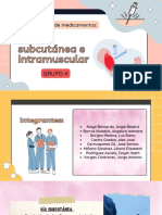 Vias de Administracion Subcutanea e Intramuscular